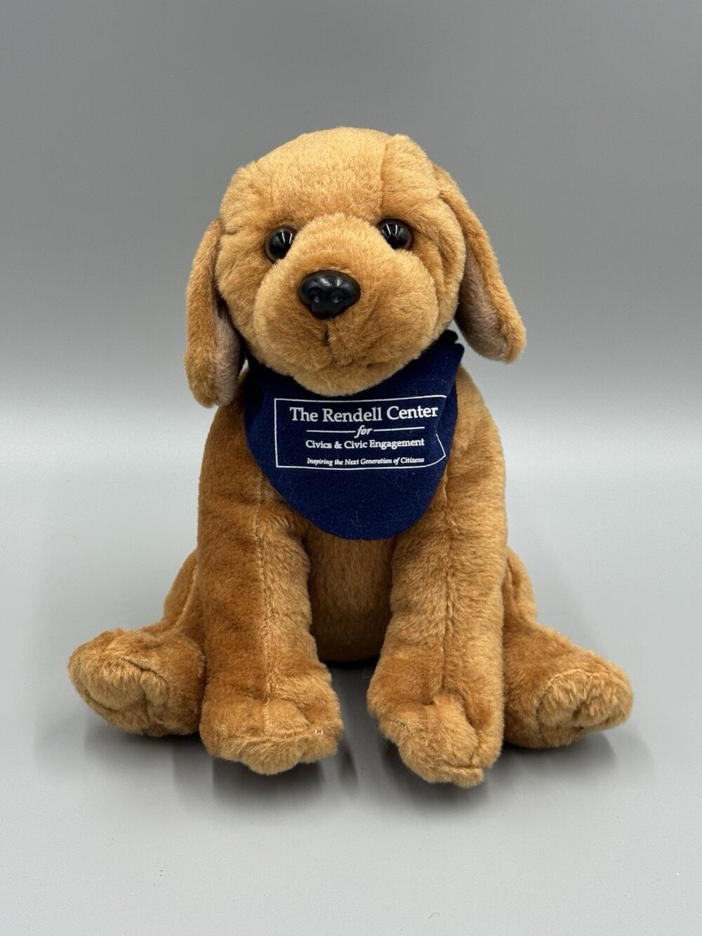 Brown Sitting Puppy Dog Plush 8” Rendell Center Bandanna Stuffed Animal Anico